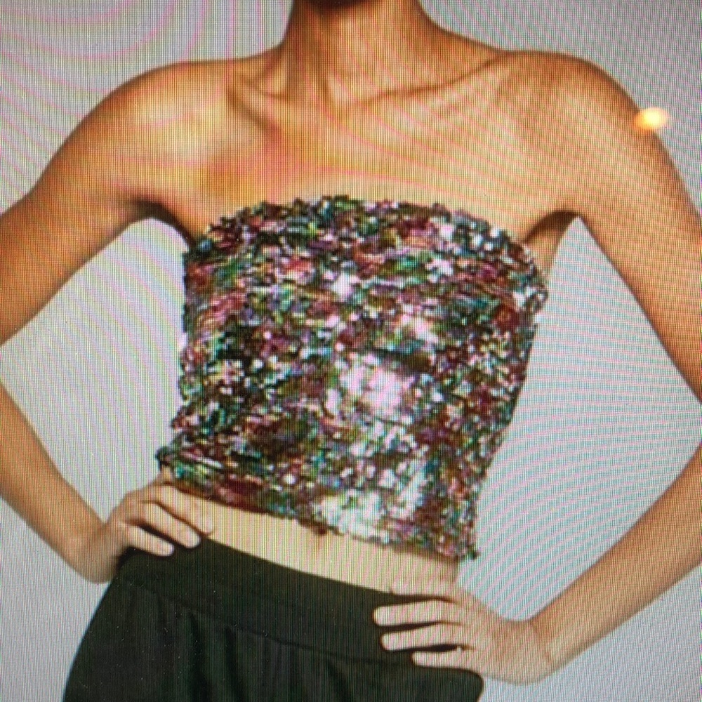 NEW wild fable sequin tube top sz S